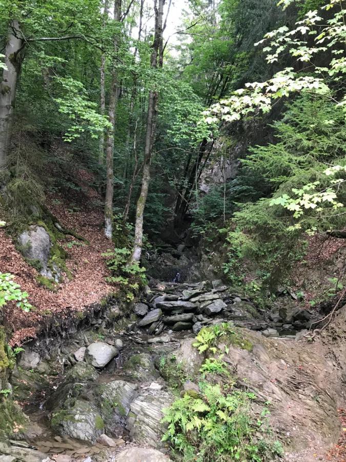 Landhaus Silbach Winterberg Bagian luar foto