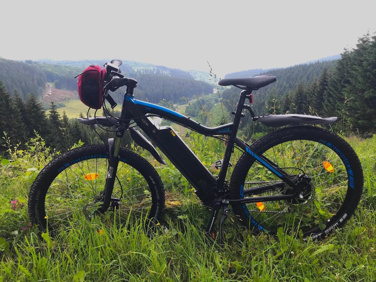 Landhaus Silbach Winterberg Bagian luar foto