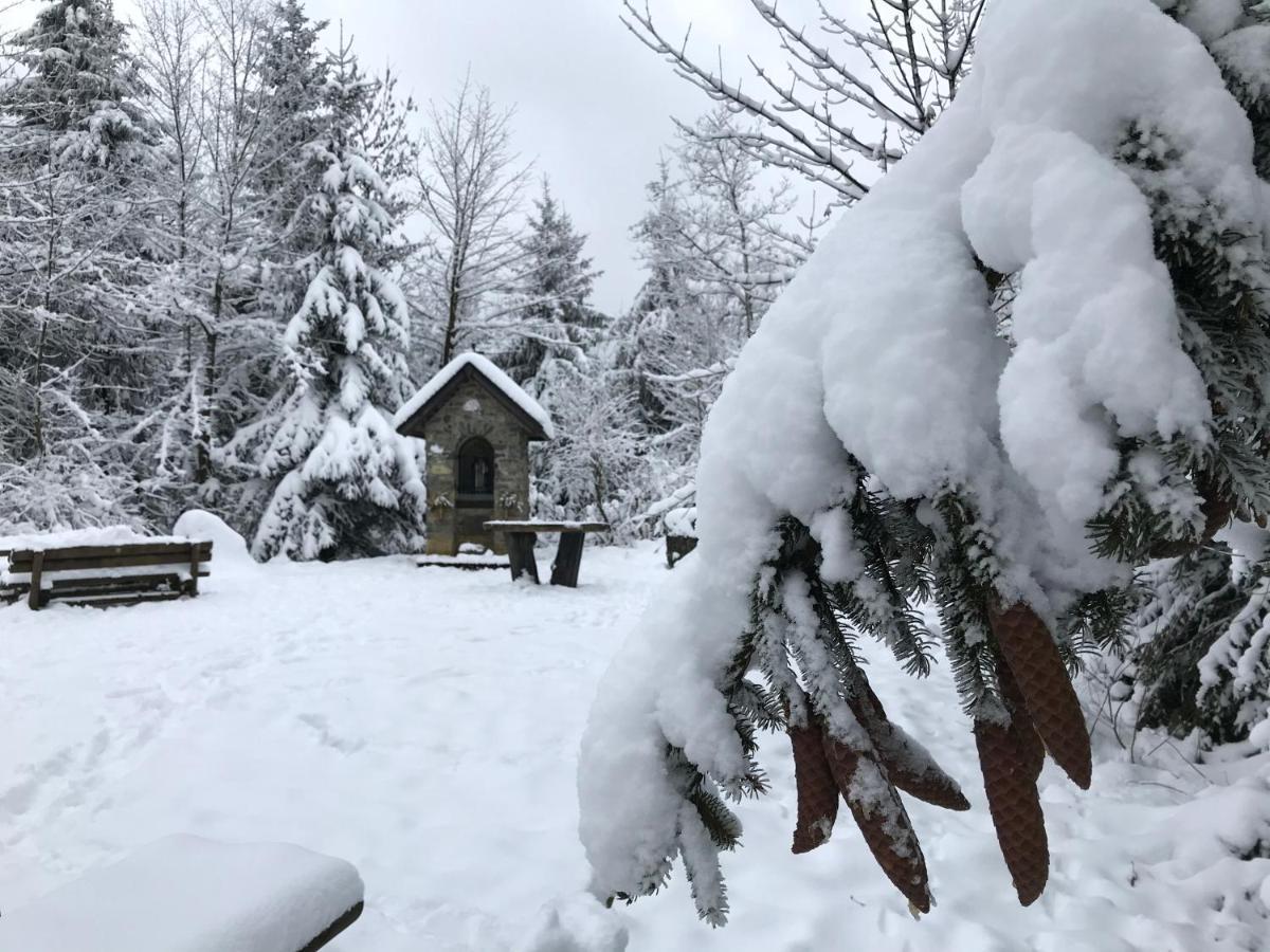 Landhaus Silbach Winterberg Bagian luar foto